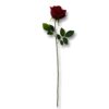 10816-Rosa-por-unidad-60cm-I.008.jpg