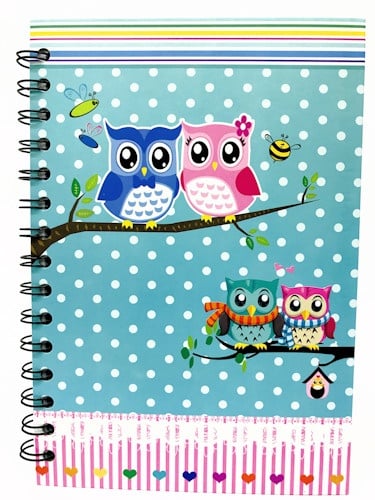 Libreta Chica Super Tapa Dura Buho Celeste