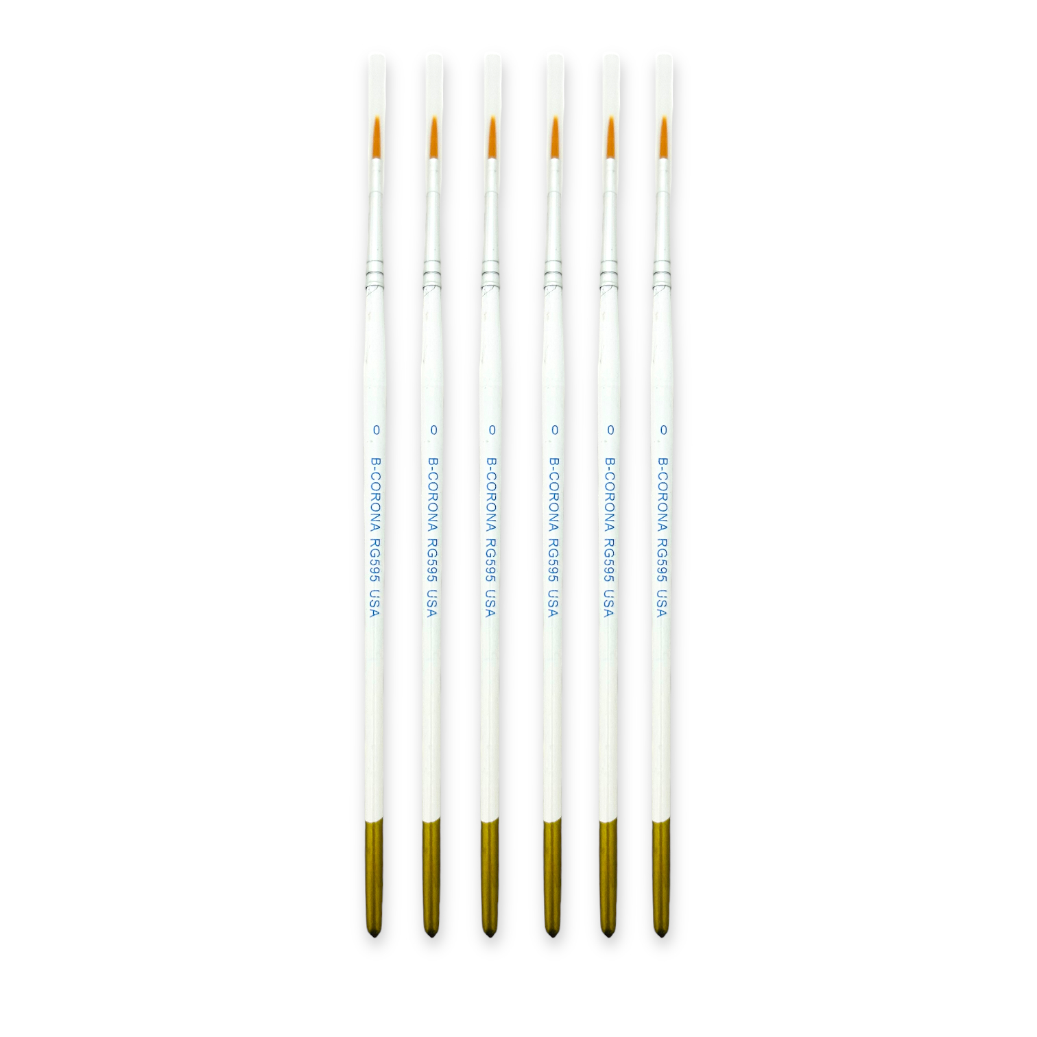 PhotoRoom_003_20230908_134417