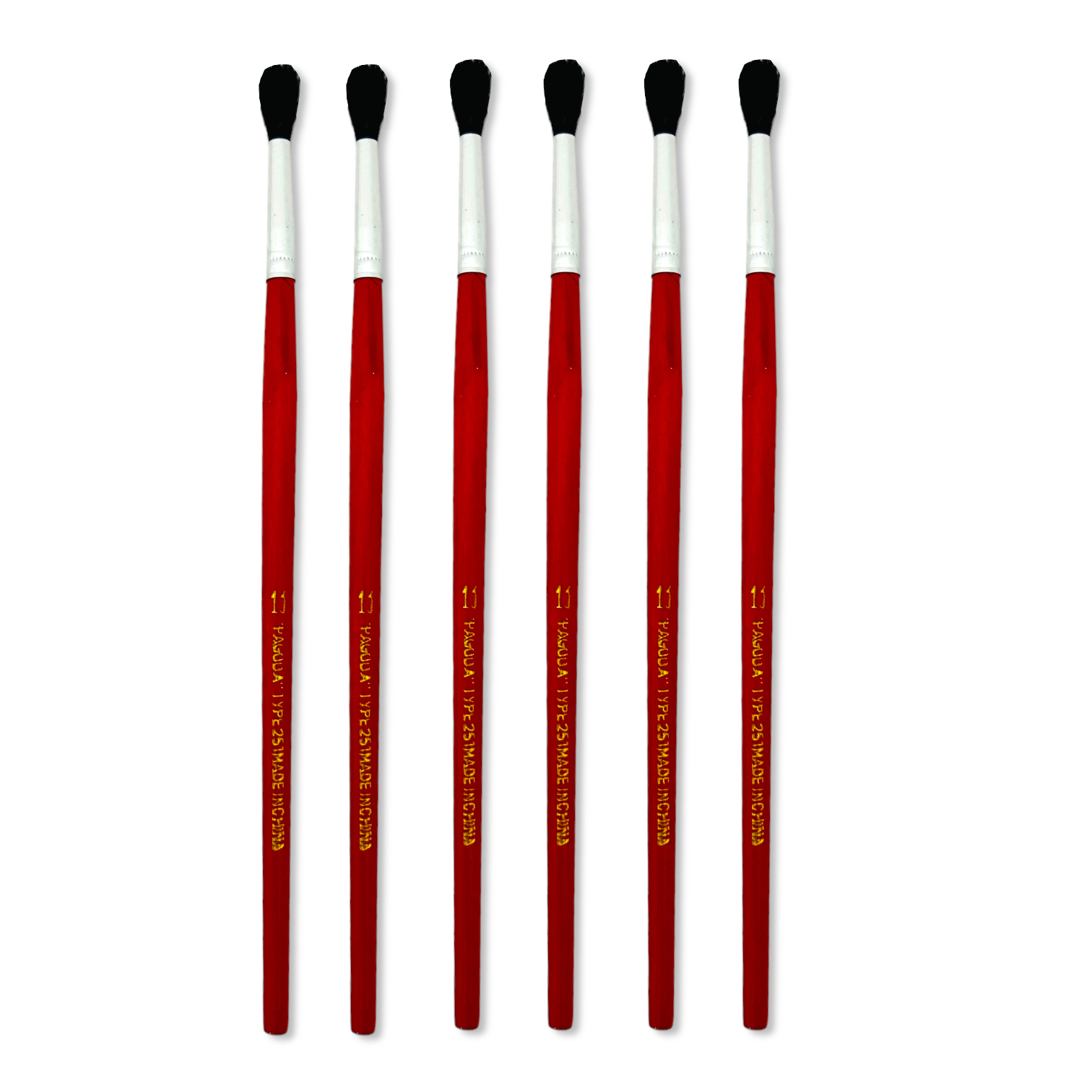 PhotoRoom_025_20231114_145850