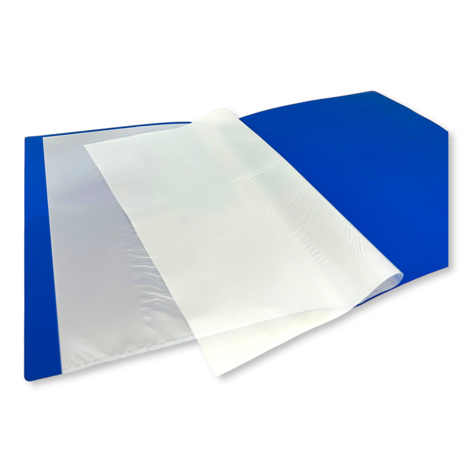 PhotoRoom_029_20231027_115856