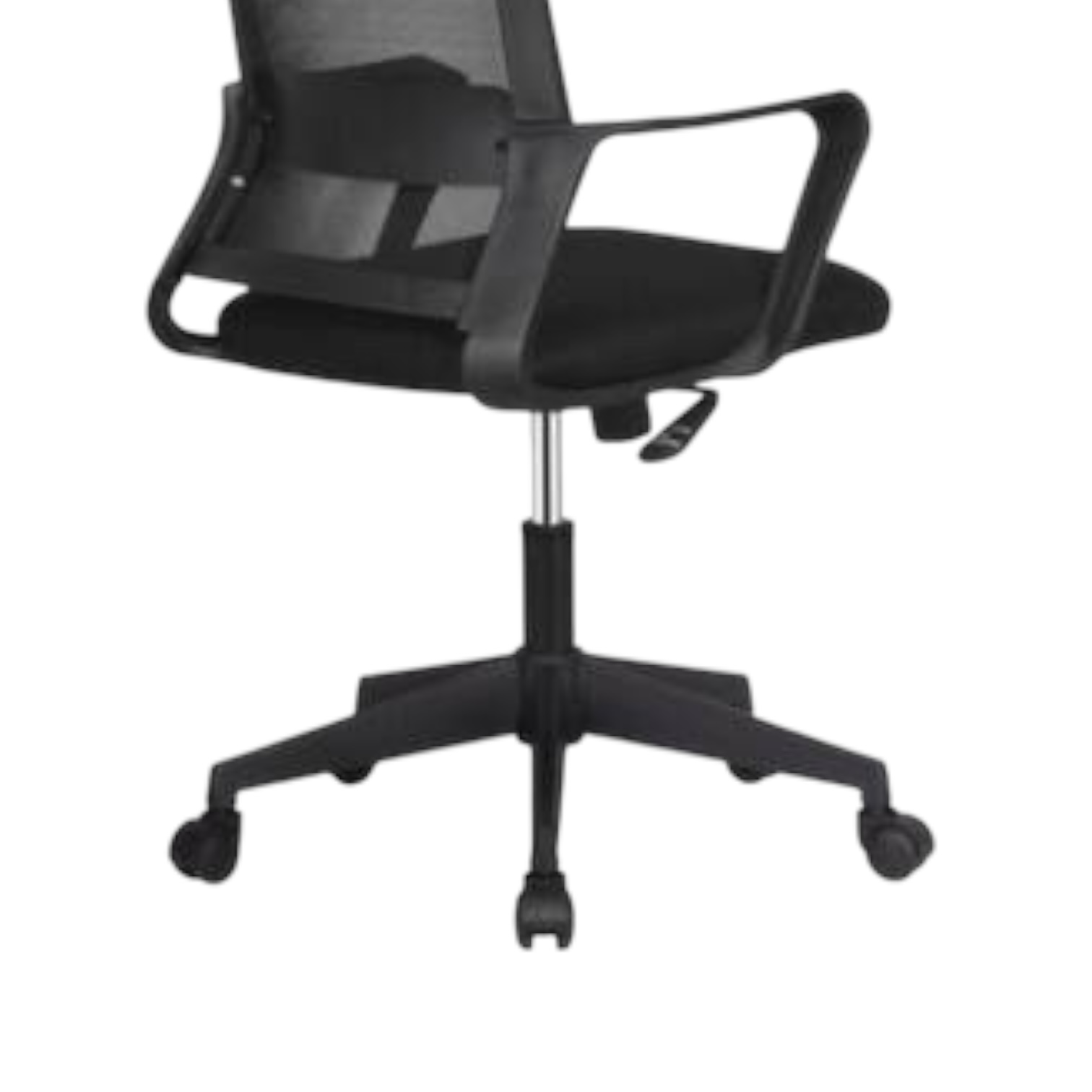 Photoroom_000_20250818_141221