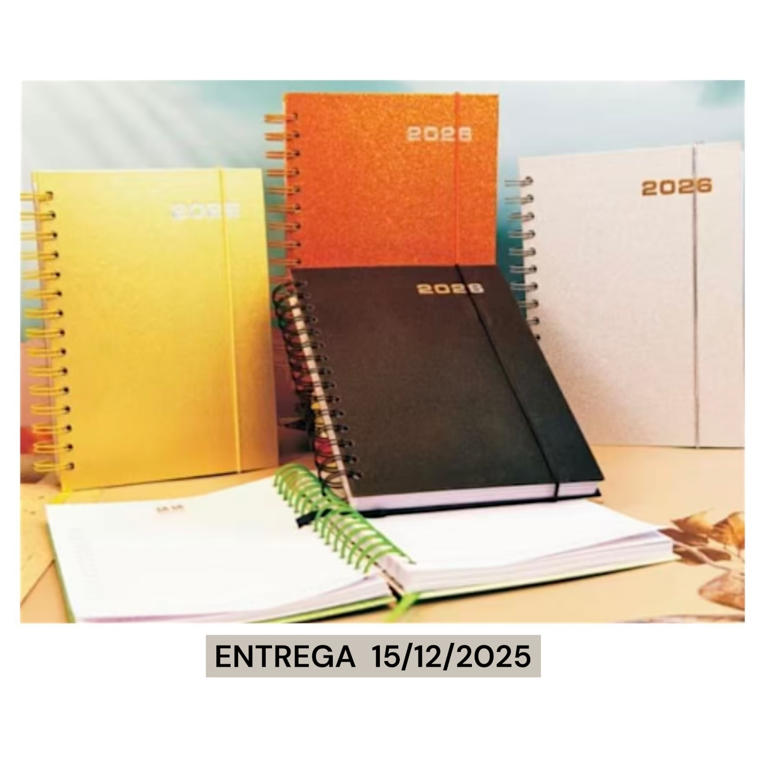 Photoroom_024_20251111_103243