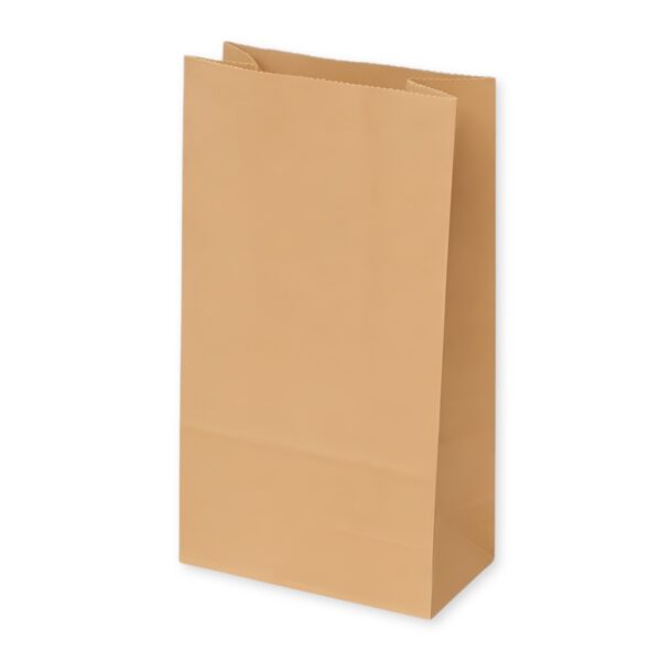 Bolsa de papel x 70 unidades