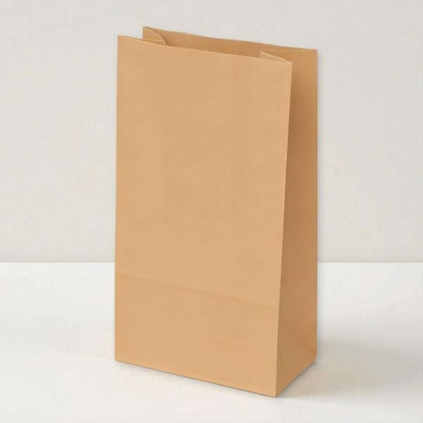 Bolsa de papel x 70 unidades