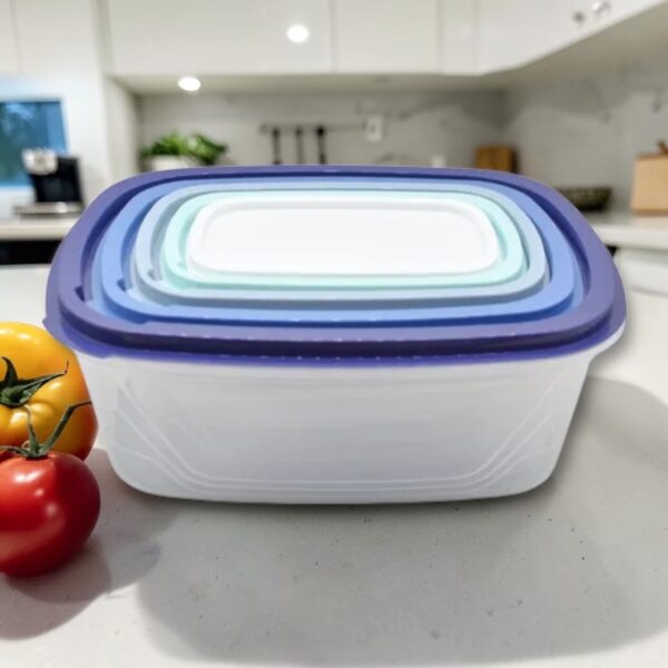 Tupper plástico x 5