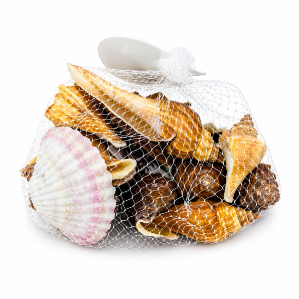 Caracolas decorativas